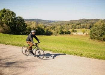 Widok na lasek z rowerzystą